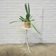 Table d'appoint en marbre