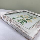 Painting “Honeysuckle”