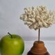 Antique ornamental coral Acropora on solid wood base, 18 cm
