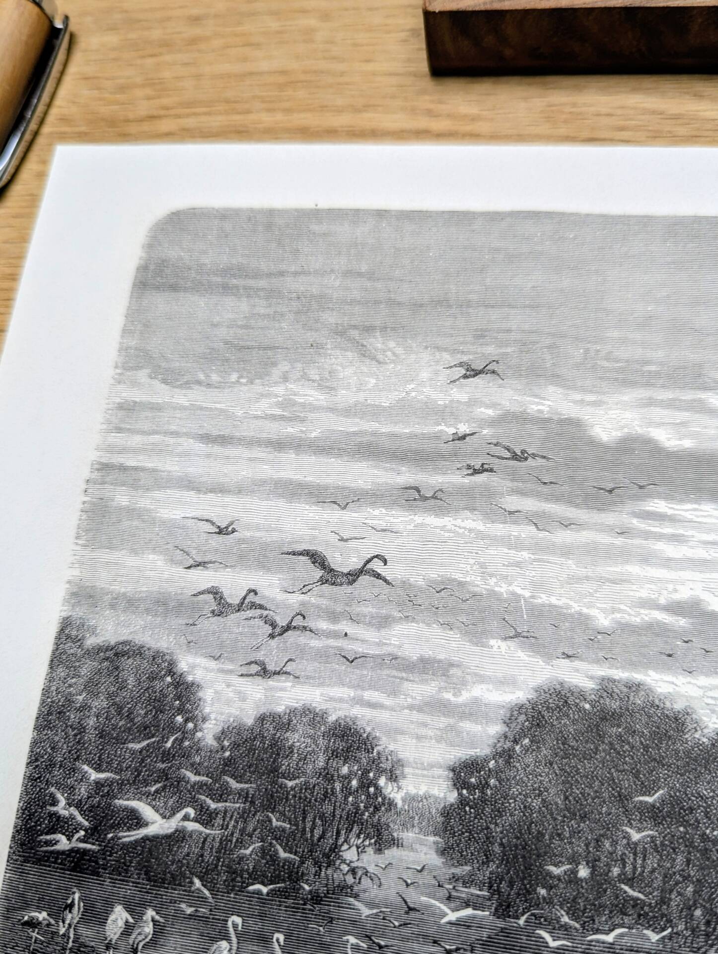 Suriname River, Parham. Printed illustration from 1866.