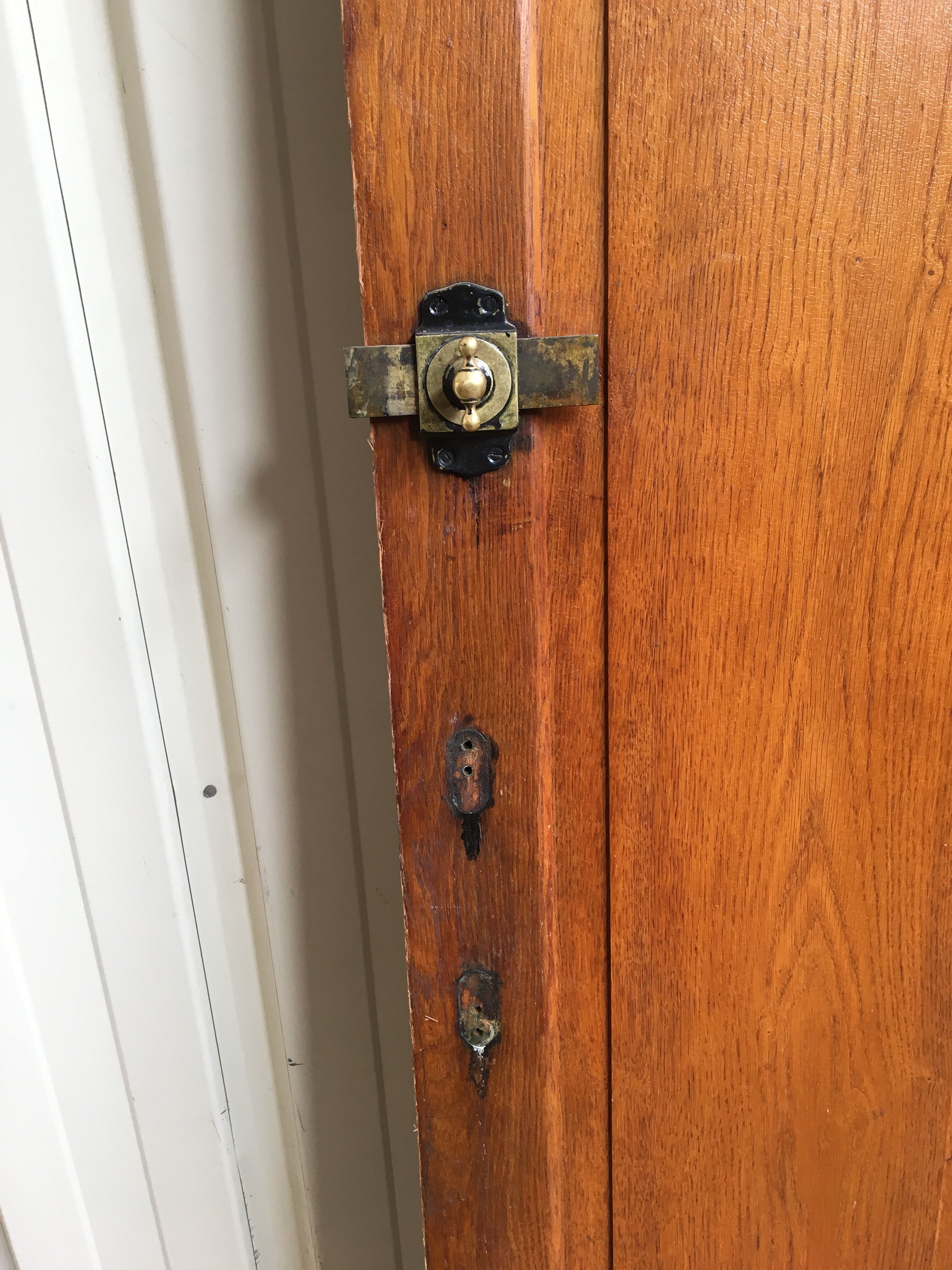 old oak sanitary door of the bank of France