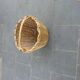Basket has handles, braided vintage