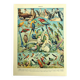Old lithograph 1928 A. Millot - Birds 1, ornithology, birds