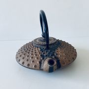 Ancient Japanese teapot in cast iron