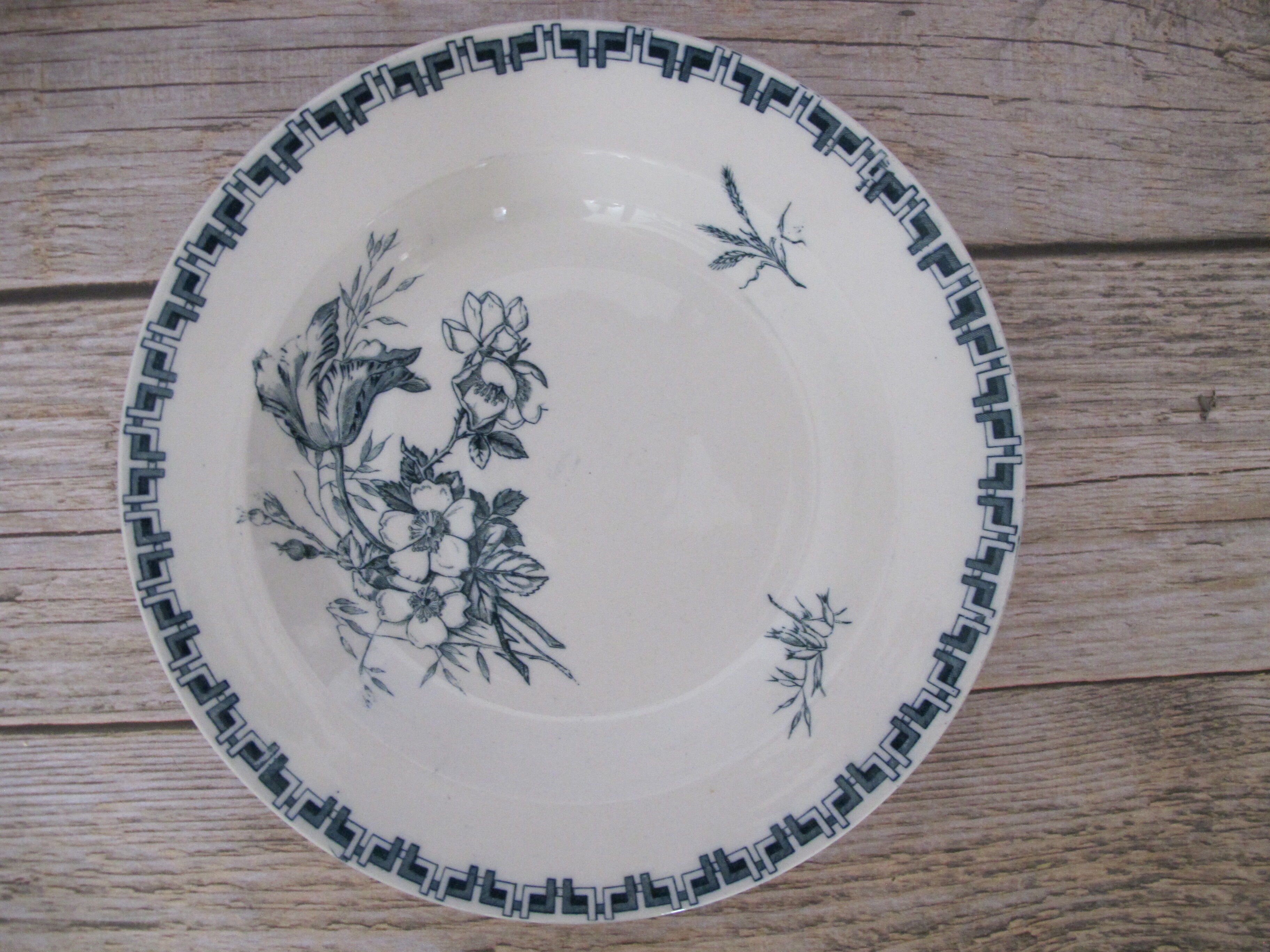 Set of 4 hollow plates in Iron Earth of Sarreguemines, model "Linnée".