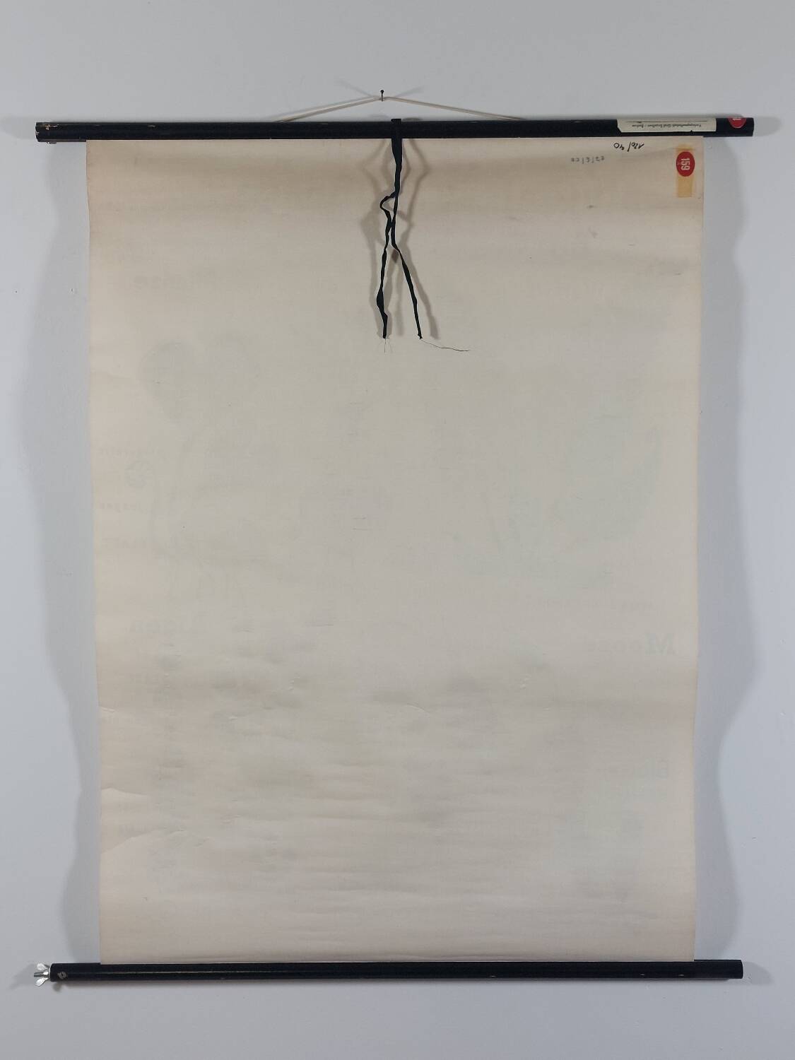 Vintage educational wall hanging roll chart biology