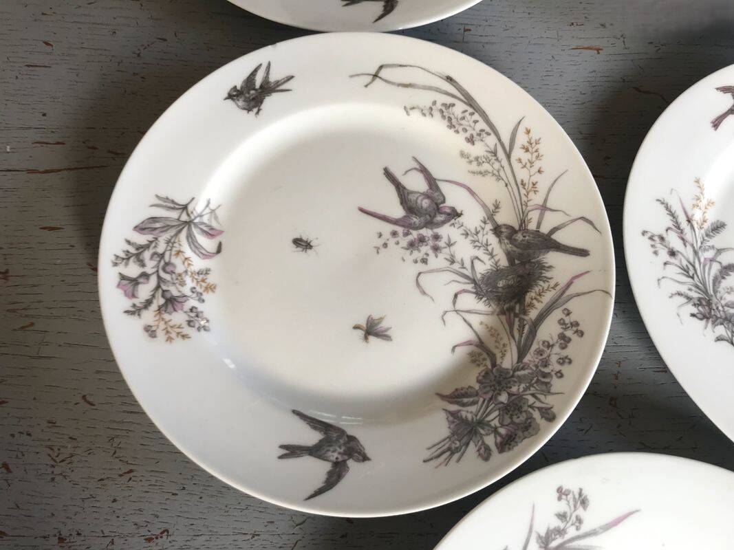 5 dessert plates porcelain gold medals exp 1867 1978 birds