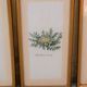 Series of 5 vintage botanical boards