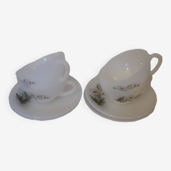 4 Arcopal daisy cup and saucer