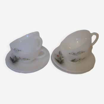 4 tasse et leur soucoupe marguerites Arcopal