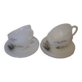 4 tasse et leur soucoupe marguerites Arcopal