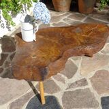 Elm tree trunk coffee table
