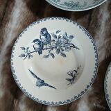 10 antique deep plates in ironstone