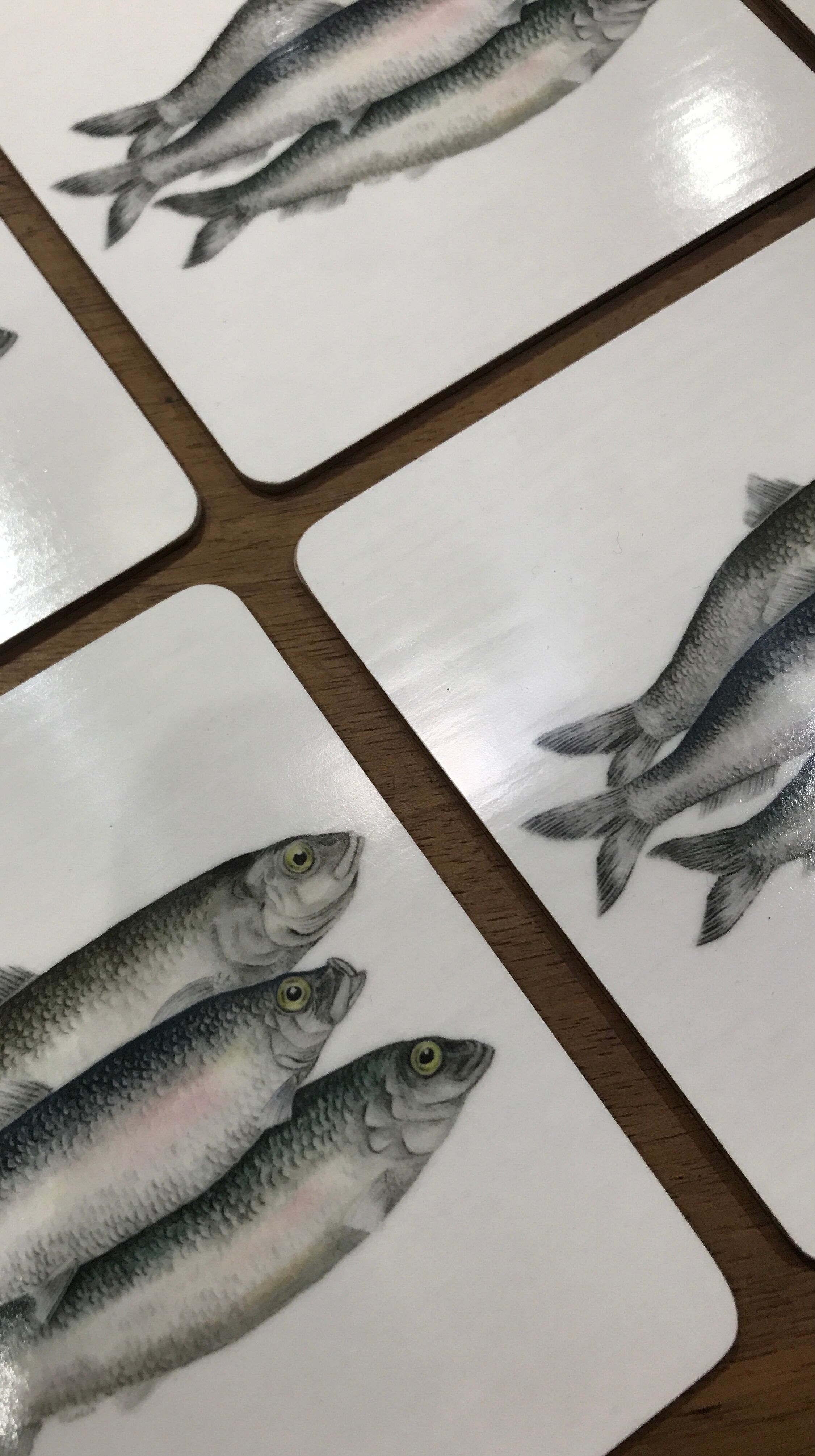 Coasters Bill Bull Bob fish