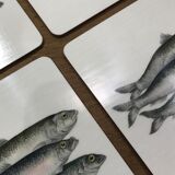 Coasters Bill Bull Bob fish