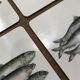 Coasters Bill Bull Bob fish