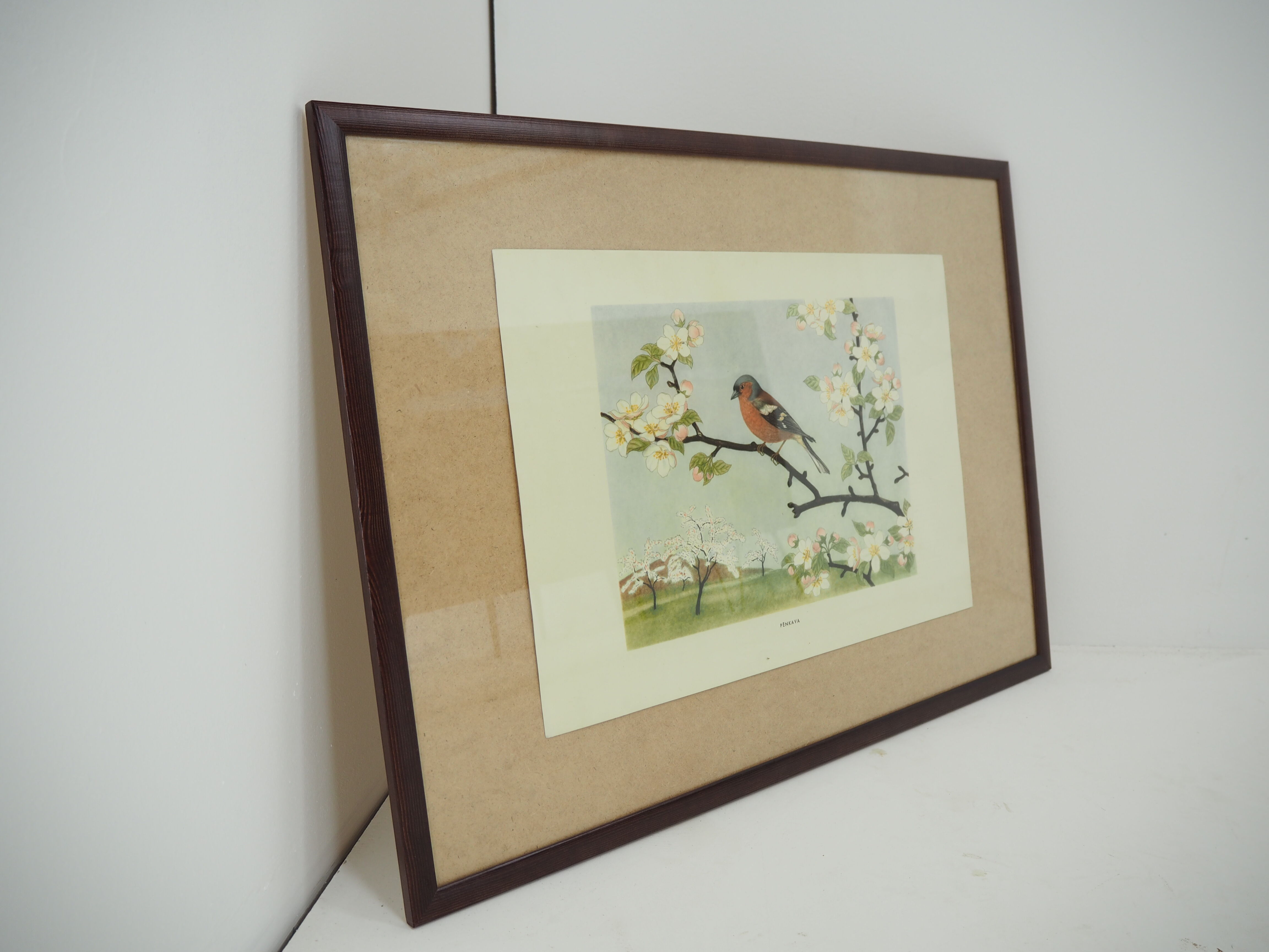 Midcentury School Poster, Czechoslovakia, 1960s