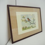 Midcentury School Poster, Czechoslovakia, 1960s