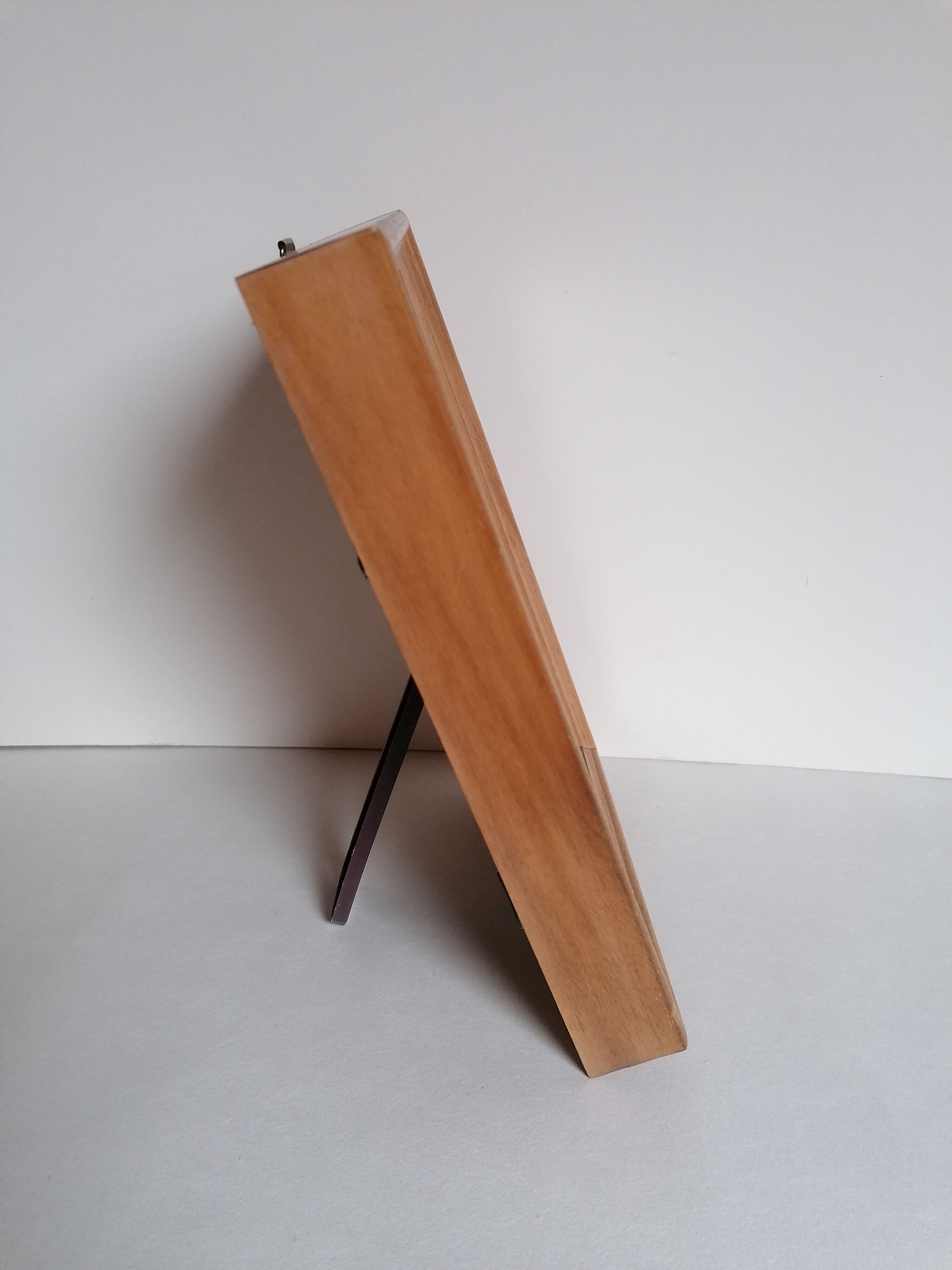 Butterflies taxidermy