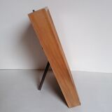 Butterflies taxidermy