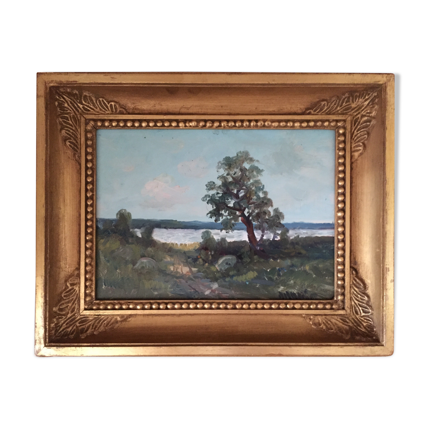 Lake landscape in summer