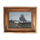 Lake landscape in summer