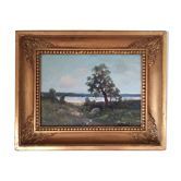 Lake landscape in summer
