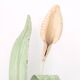 Tulip wall light with leaves and flowers, 80s