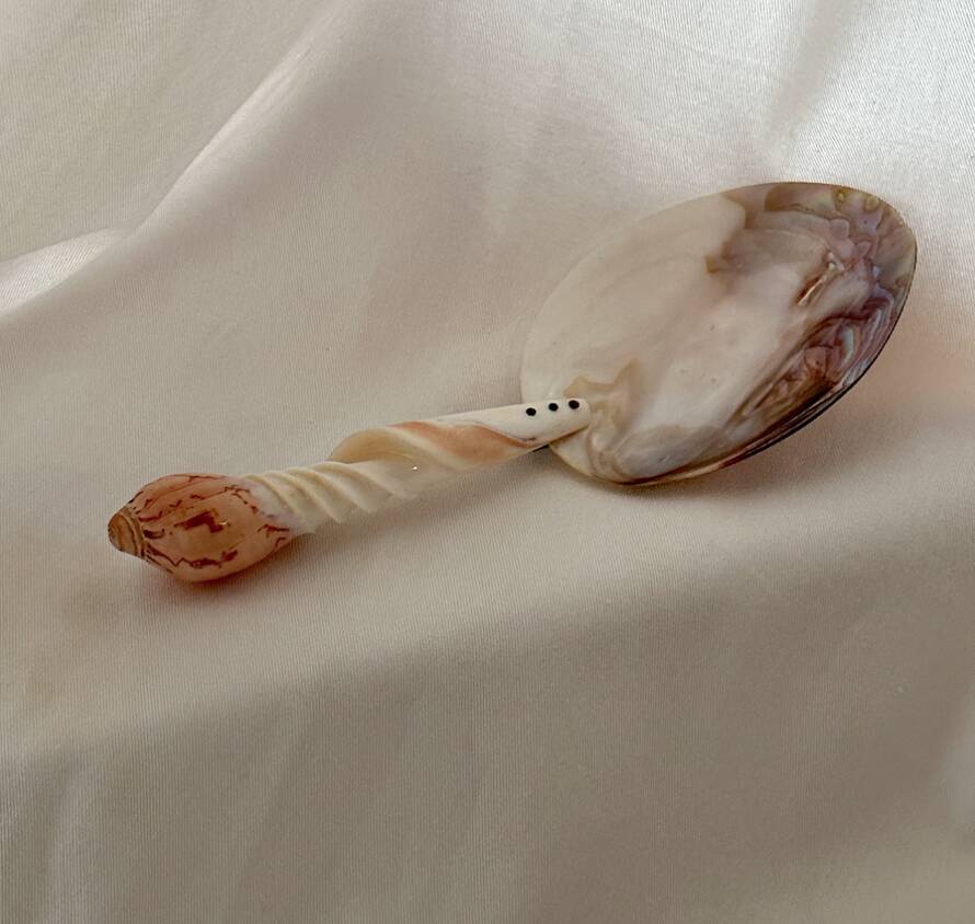 1920 French Antique Mother of Pearl and Shell Large Spoon