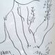 Framed table Lithograph Henri Matisse Orpheus Edition Mazenod 1945