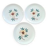 3 plates with flower decoration