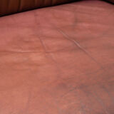 Scandinavian Sofa by Nieslaus Mobler