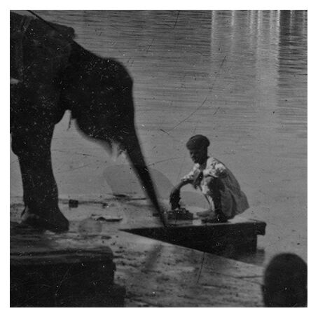 Udaipur, photo of a young elephant by the lake