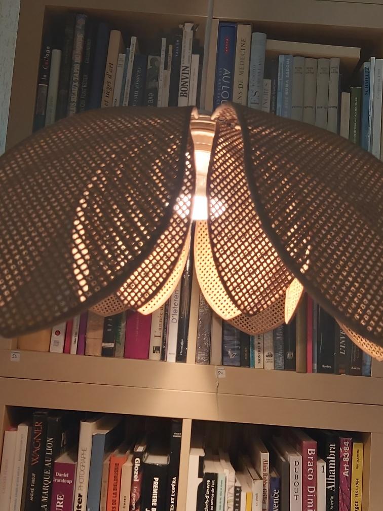 Lotus flower suspension in vintage cannage