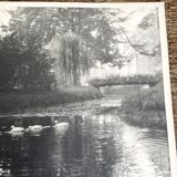 Garden and lake photo, ca 1960