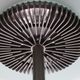 Aureola Halo Floor Lamp by Cini & Nils, Italy 1980
