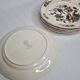 Ensemble de six assiettes Villeroy et Boch, décor Phénix, 26 cm