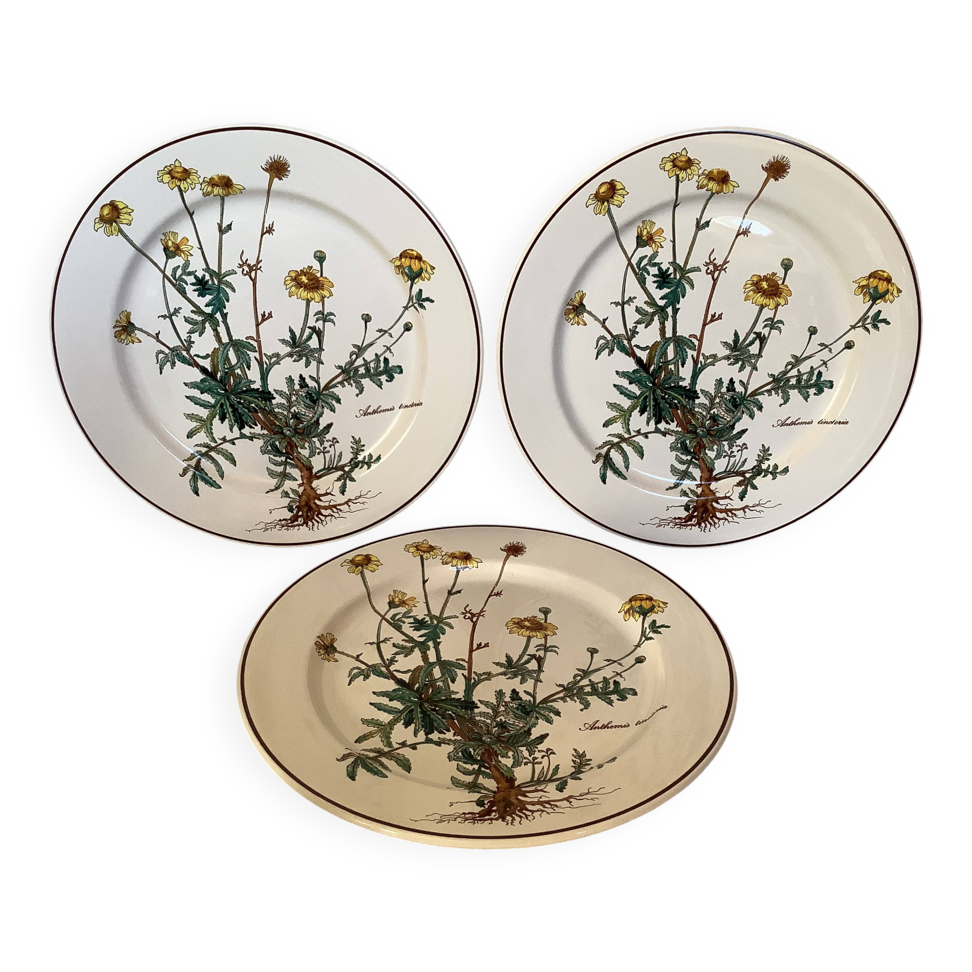 Set of three flat plates with botanical flowers by Villeroy & Boch.