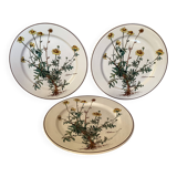 Set of three flat plates with botanical flowers by Villeroy & Boch.