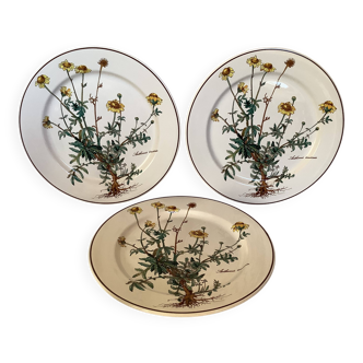 Set of three flat plates with botanical flowers by Villeroy & Boch.