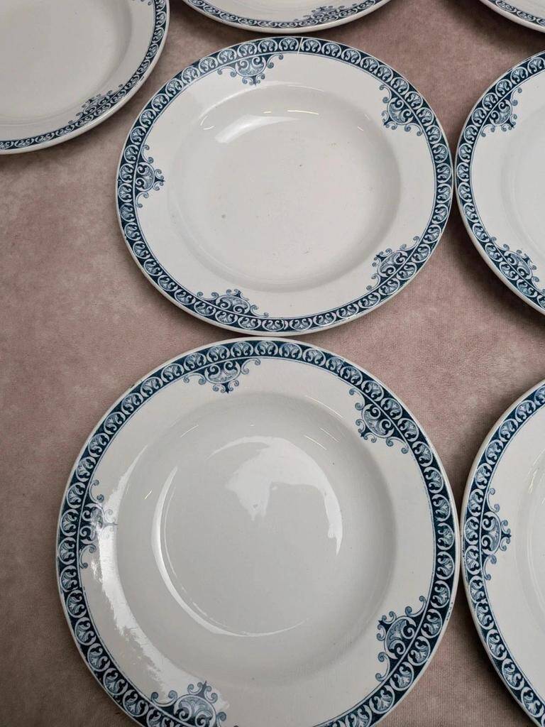 Set of 9 deep plates Terre de Fer St Amand model Andrinople