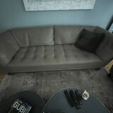 Two sofas Cuir Roche Bobois Gray