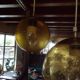 Suspensions 1970 en verre