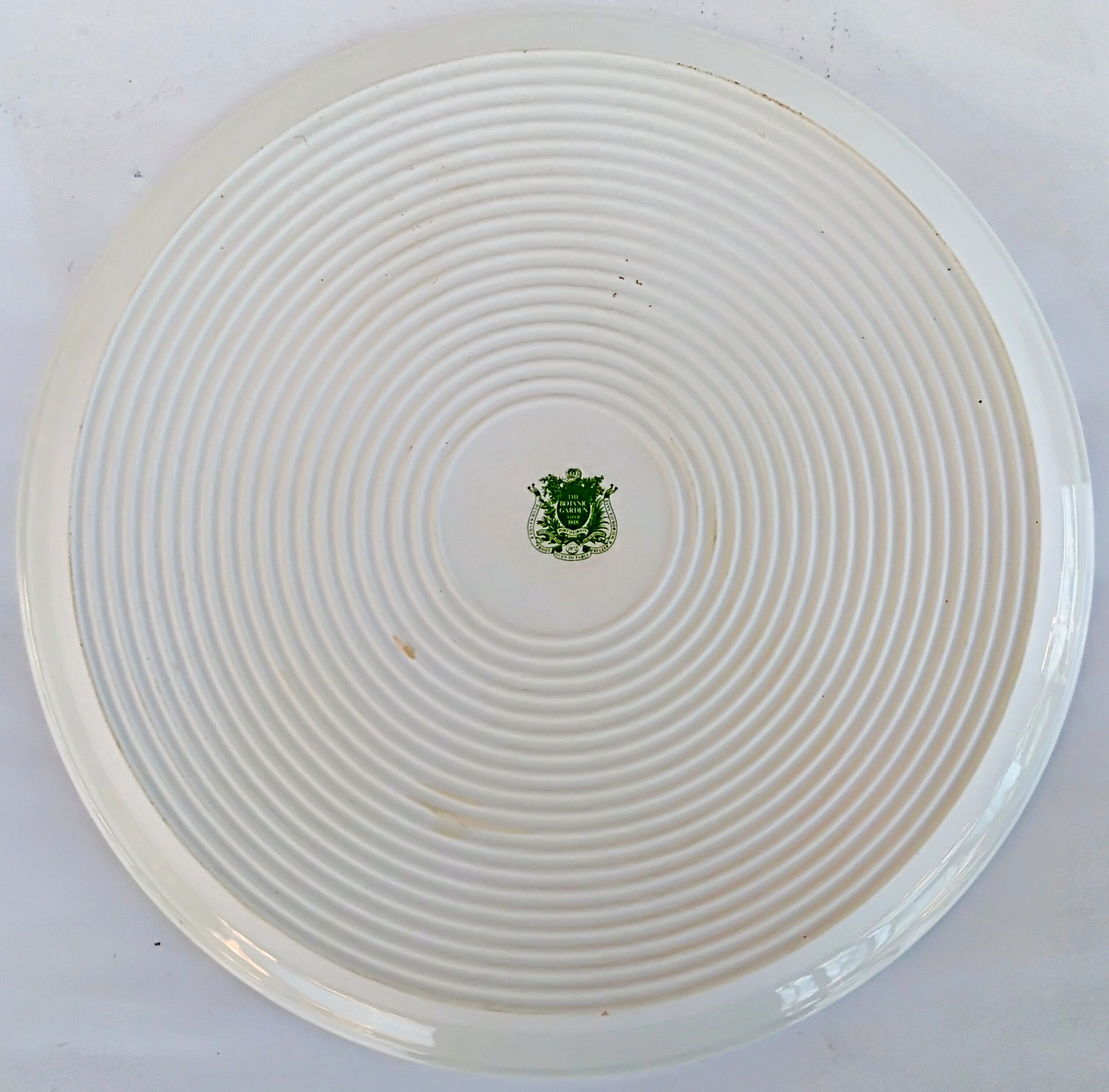 Set of 2 dishes earthenware portmeirion made in england décor botaznic garden