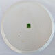 Set of 2 dishes earthenware portmeirion made in england décor botaznic garden