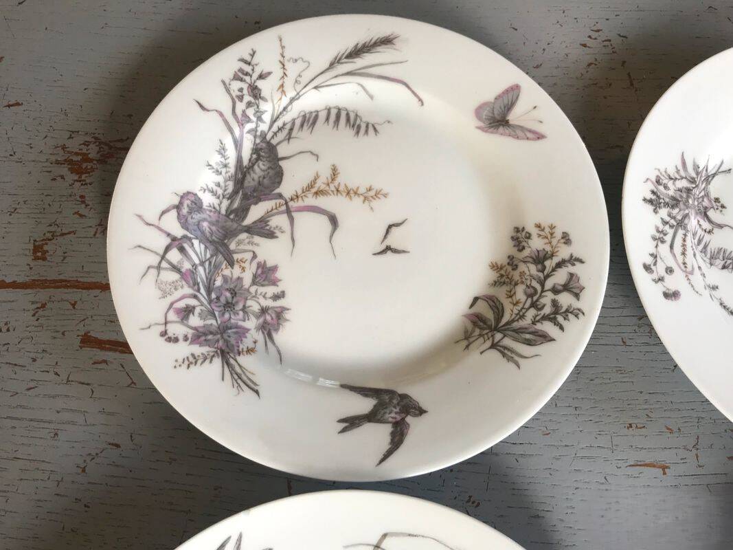 5 dessert plates porcelain gold medals exp 1867 1978 birds