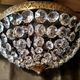 Chandelier gold pendants crystal ceiling balloon XX