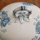 Iron earth tureen Sarreguemines Royat