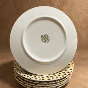 Service d'assiettes Pagnossin Treviso -Collection "Safari"