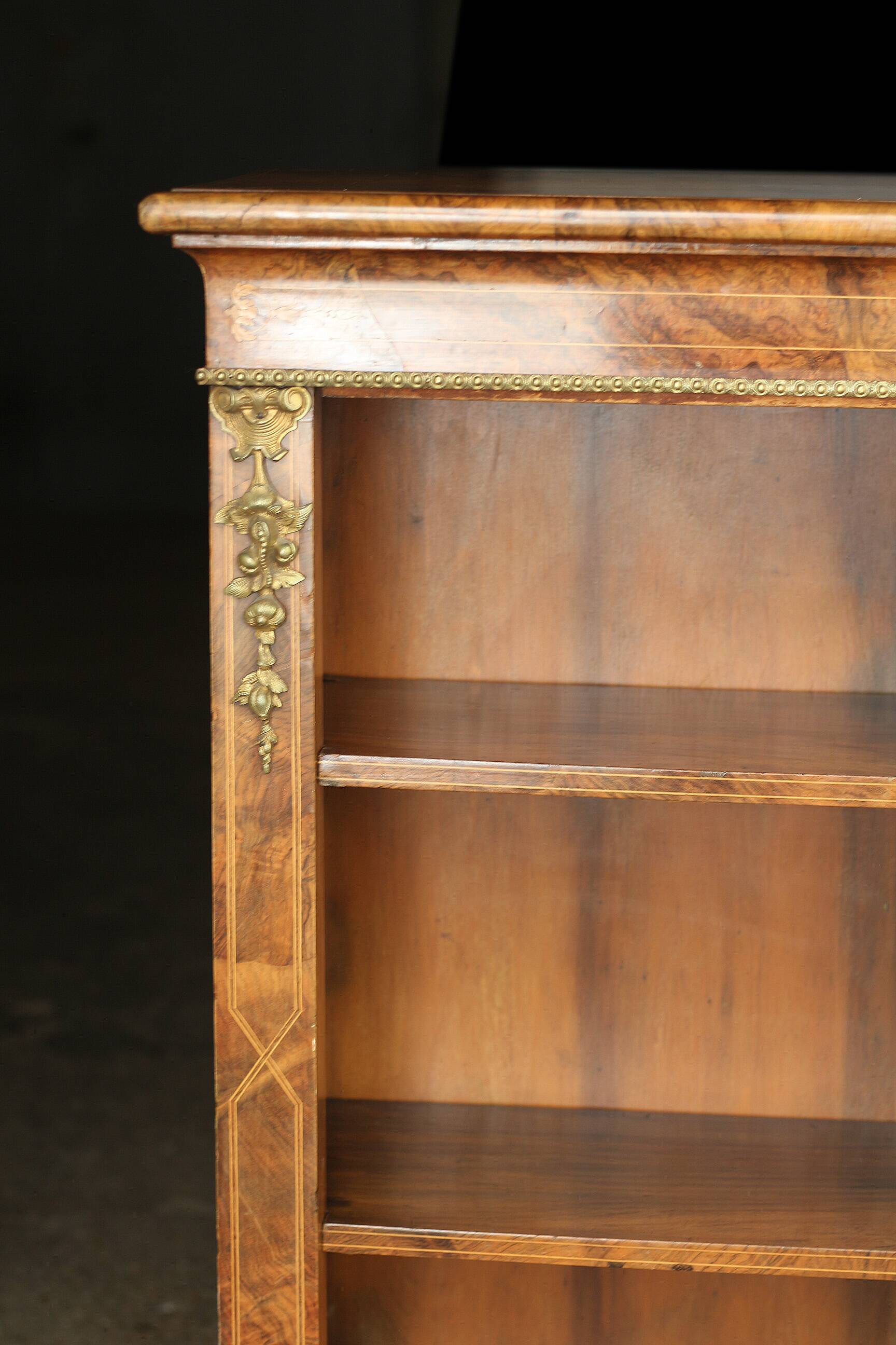 Magnificent Victorian library in mahogany veneer (19th century)